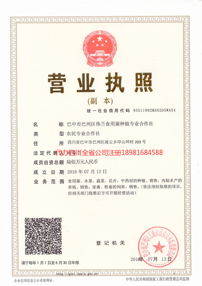 丽水丽水伟兰食用菌种植专业合作社